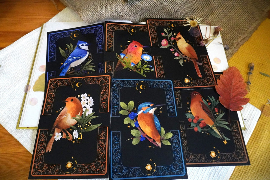 A Set of Bird Post Cards / Art Prints