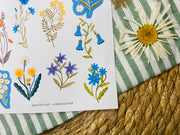 Bloom Sticker Sheet