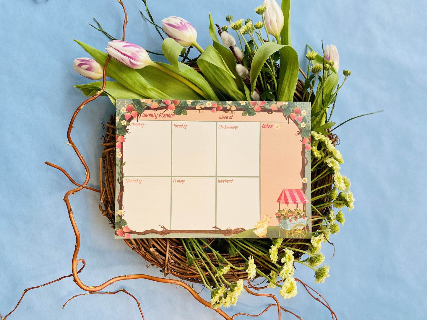 Strawberry A5 To Do - Weekly Planner Notepad