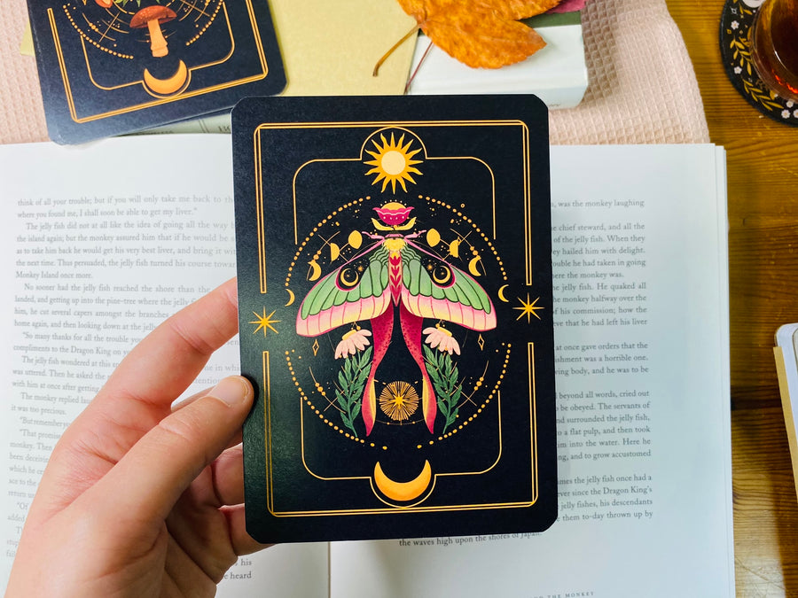 A Set of Insect Art Prints - A6 Bugs Post Card Set