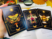 A Set of Insect Art Prints - A6 Bugs Post Card Set