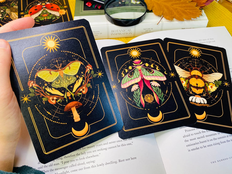 A Set of Insect Art Prints - A6 Bugs Post Card Set