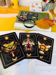 A Set of Insect Art Prints - A6 Bugs Post Card Set