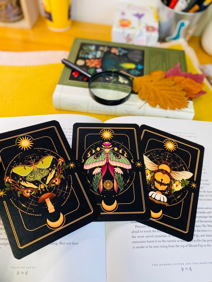 A Set of Insect Art Prints - A6 Bugs Post Card Set