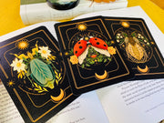 A Set of Insect Art Prints - A6 Bugs Post Card Set