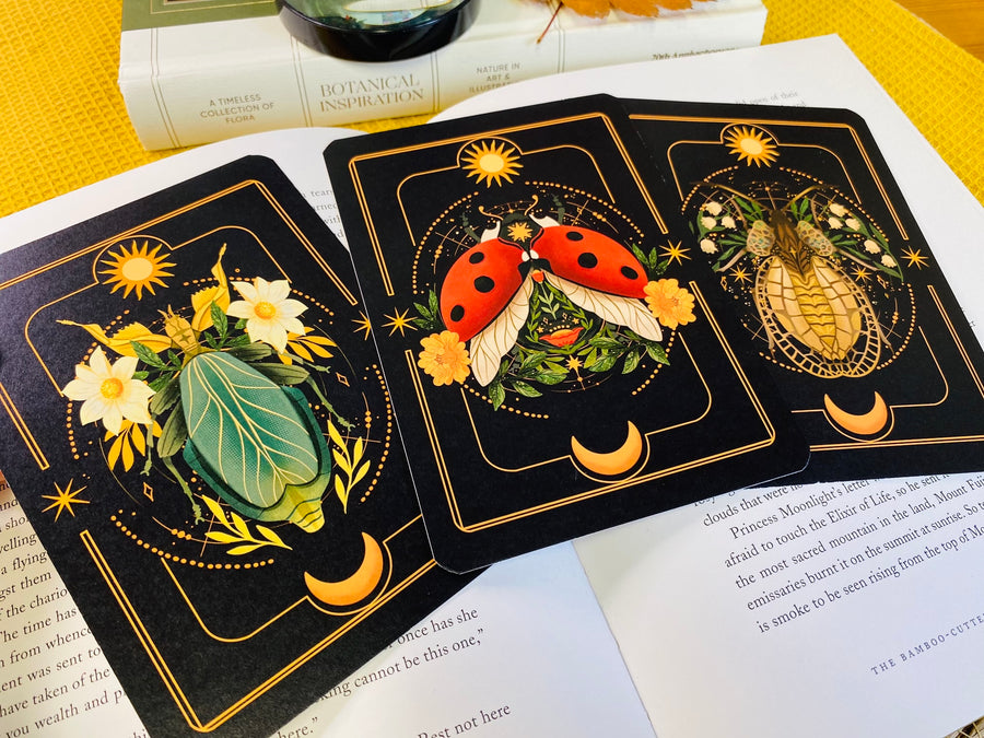 A Set of Insect Art Prints - A6 Bugs Post Card Set