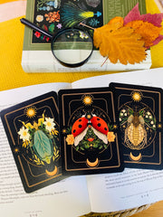 A Set of Insect Art Prints - A6 Bugs Post Card Set