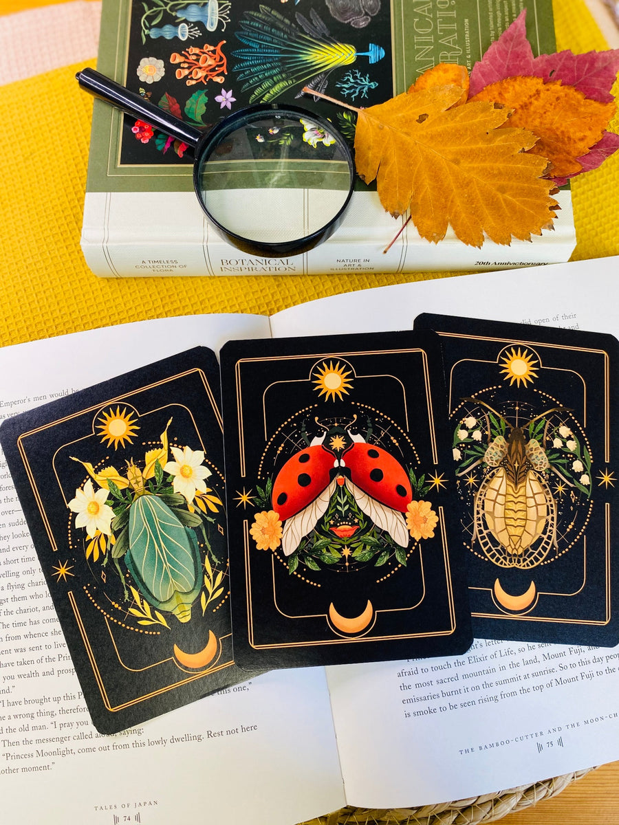 A Set of Insect Art Prints - A6 Bugs Post Card Set