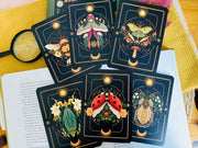 A Set of Insect Art Prints - A6 Bugs Post Card Set