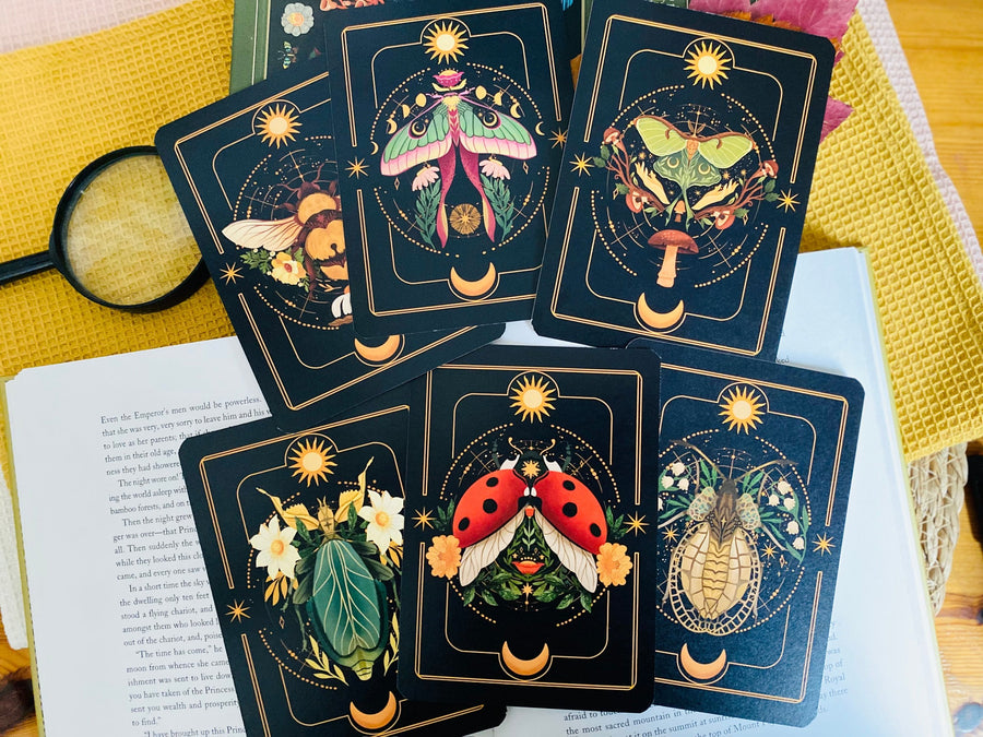 A Set of Insect Art Prints - A6 Bugs Post Card Set