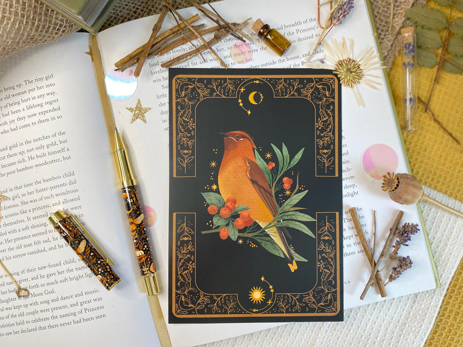 A Set of Bird Post Cards / Art Prints