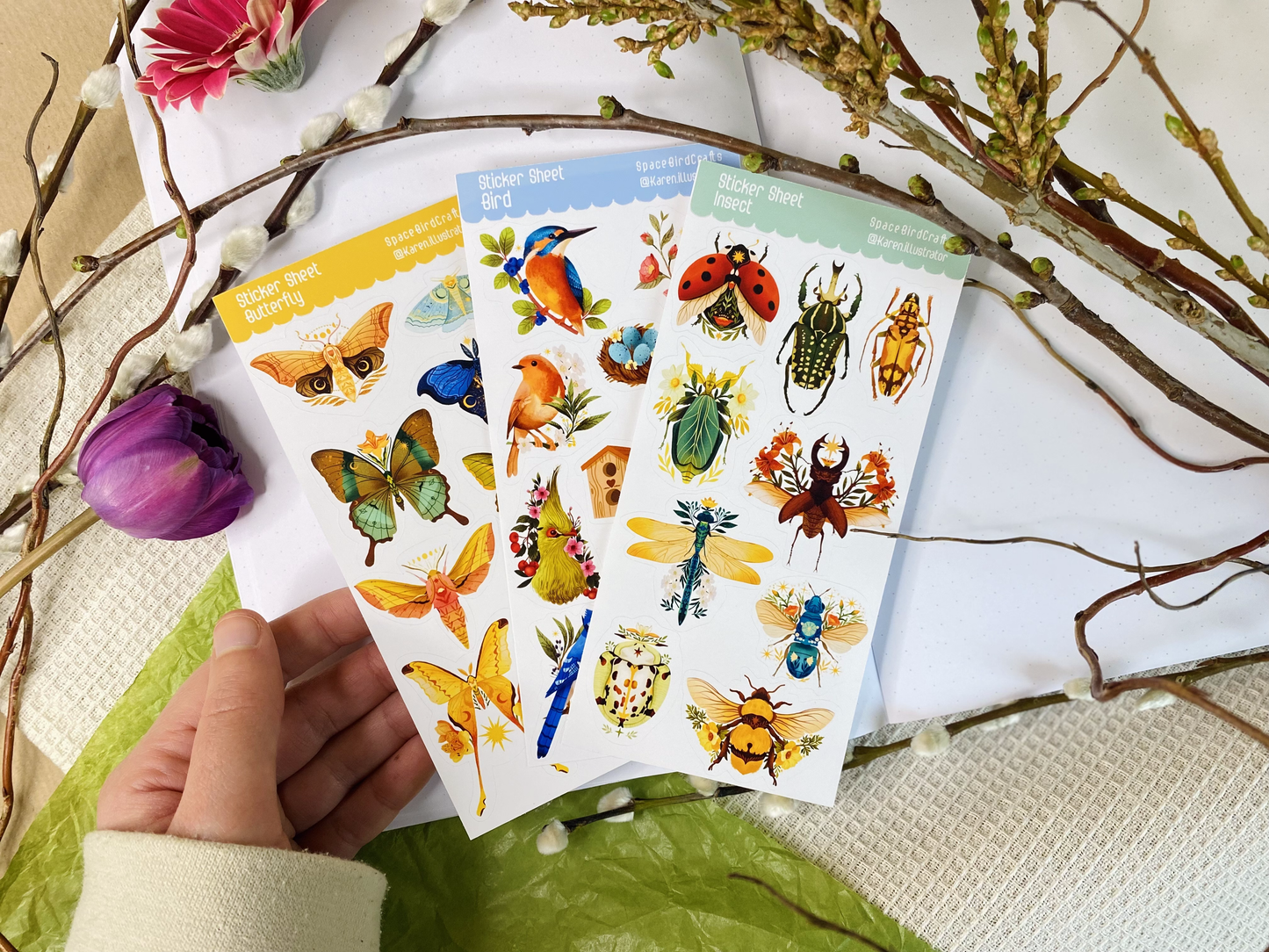 Clear Birds Sticker Sheet