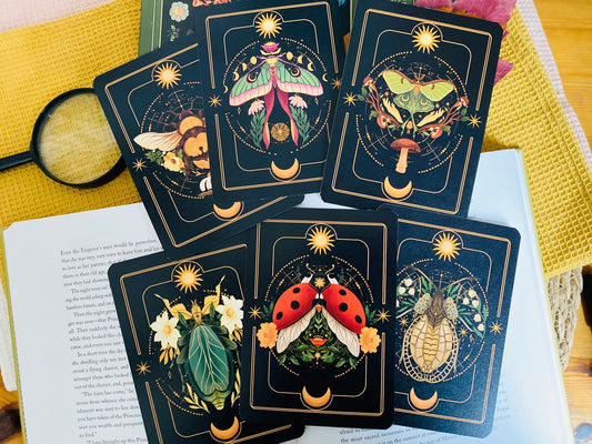 A Set of Insect Art Prints - A6 Bugs Post Card Set