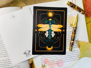 A Set of 2024 Insect Art Prints - A6 Bugs Post Card Set