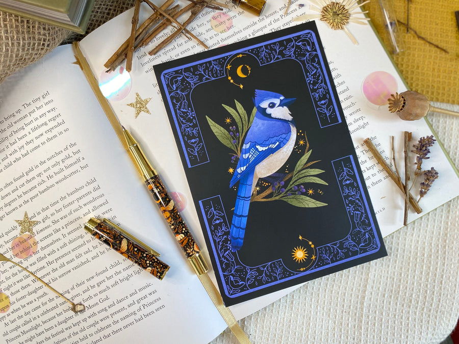 A Set of Bird Post Cards / Art Prints