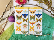 Clear Butterfly Moths Sticker Sheet