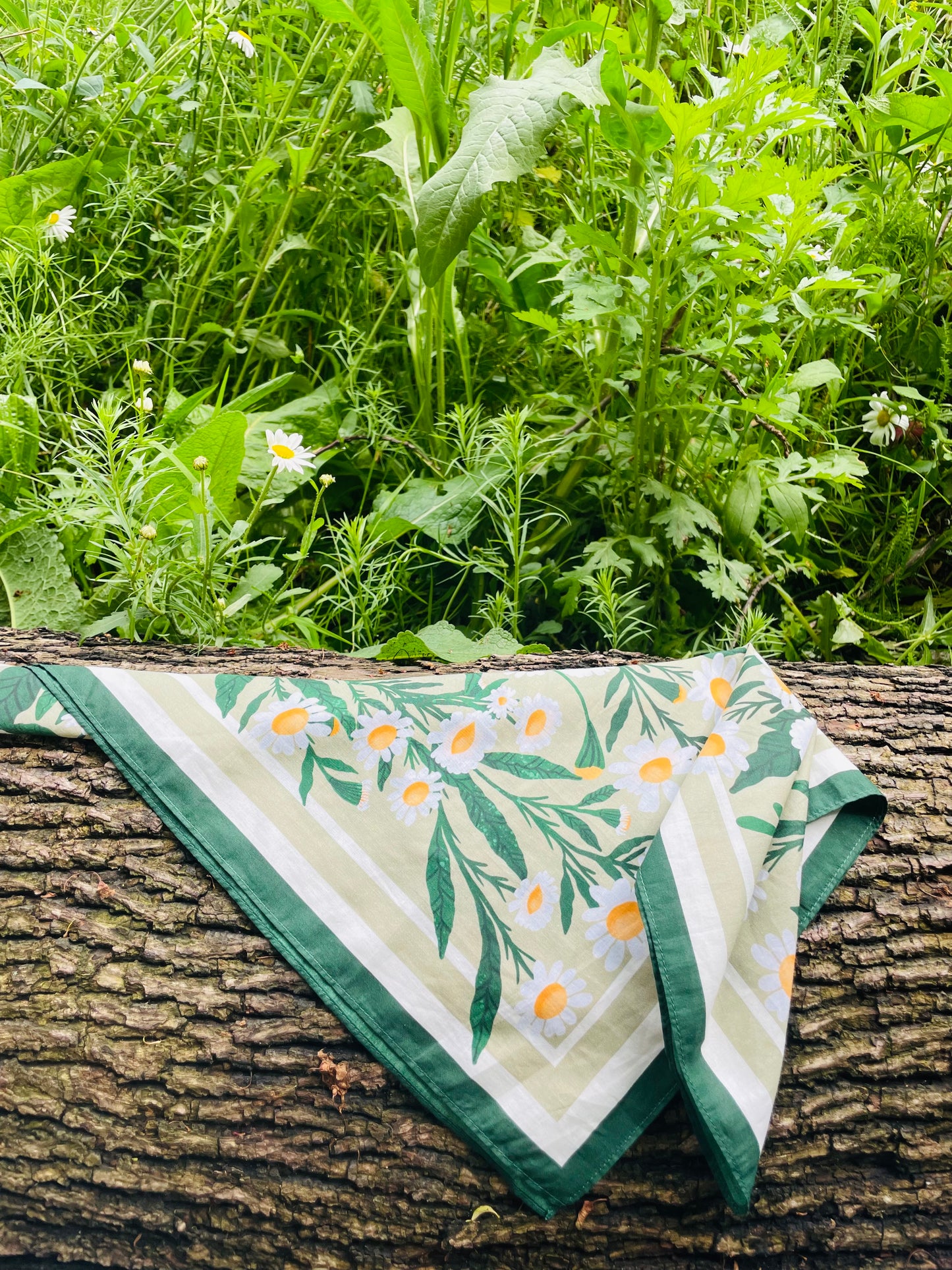 Daisy Field Motive Scarf