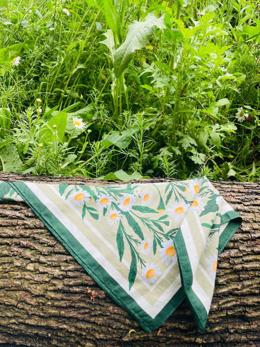 Daisy Field Motive Scarf